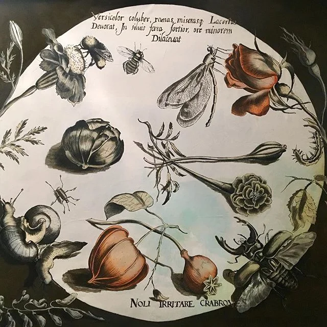 This will be in the southern most corner of Oskar&rsquo;s bar. Ceilings are low so I&rsquo;m hoping this will add some height. It&rsquo;s also meant to be in keeping the way the natural light comes in. The rusting (right corner) has just begun!