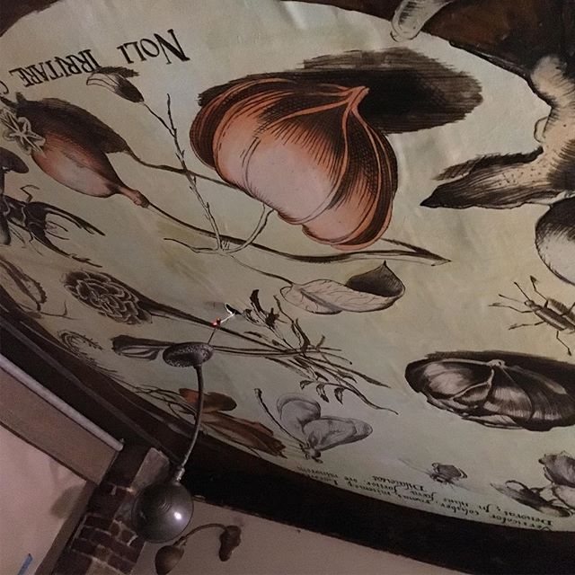 This was a 2 year plan to get the bar ceiling “botanified”. That along with other improvements will get us ready for Spring. Now we hang the 30’ monster of a mural - all hands on deck to defy gravity & bring on botany!