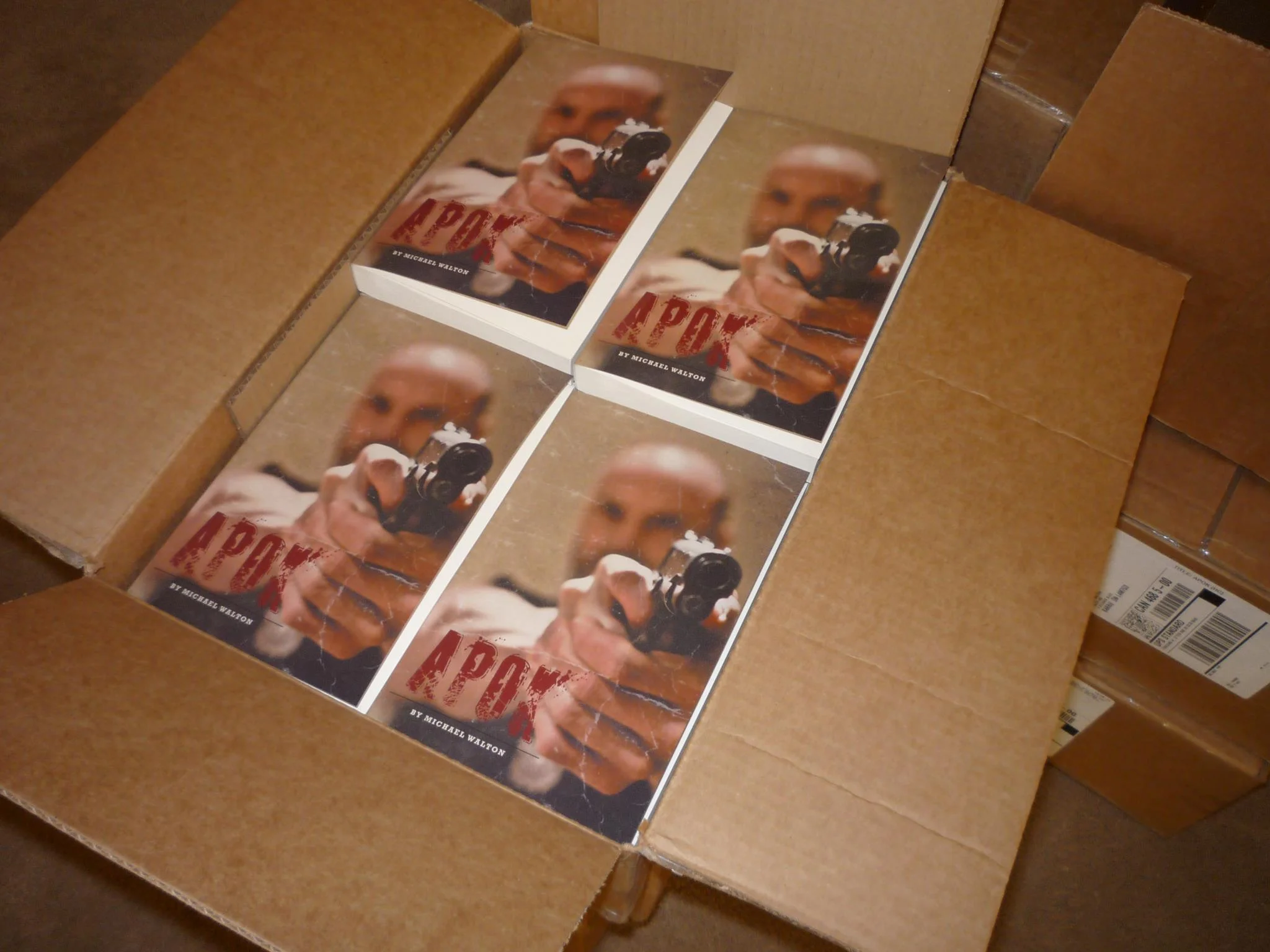 APOK books fresh out of the boxes from FriesenPress.