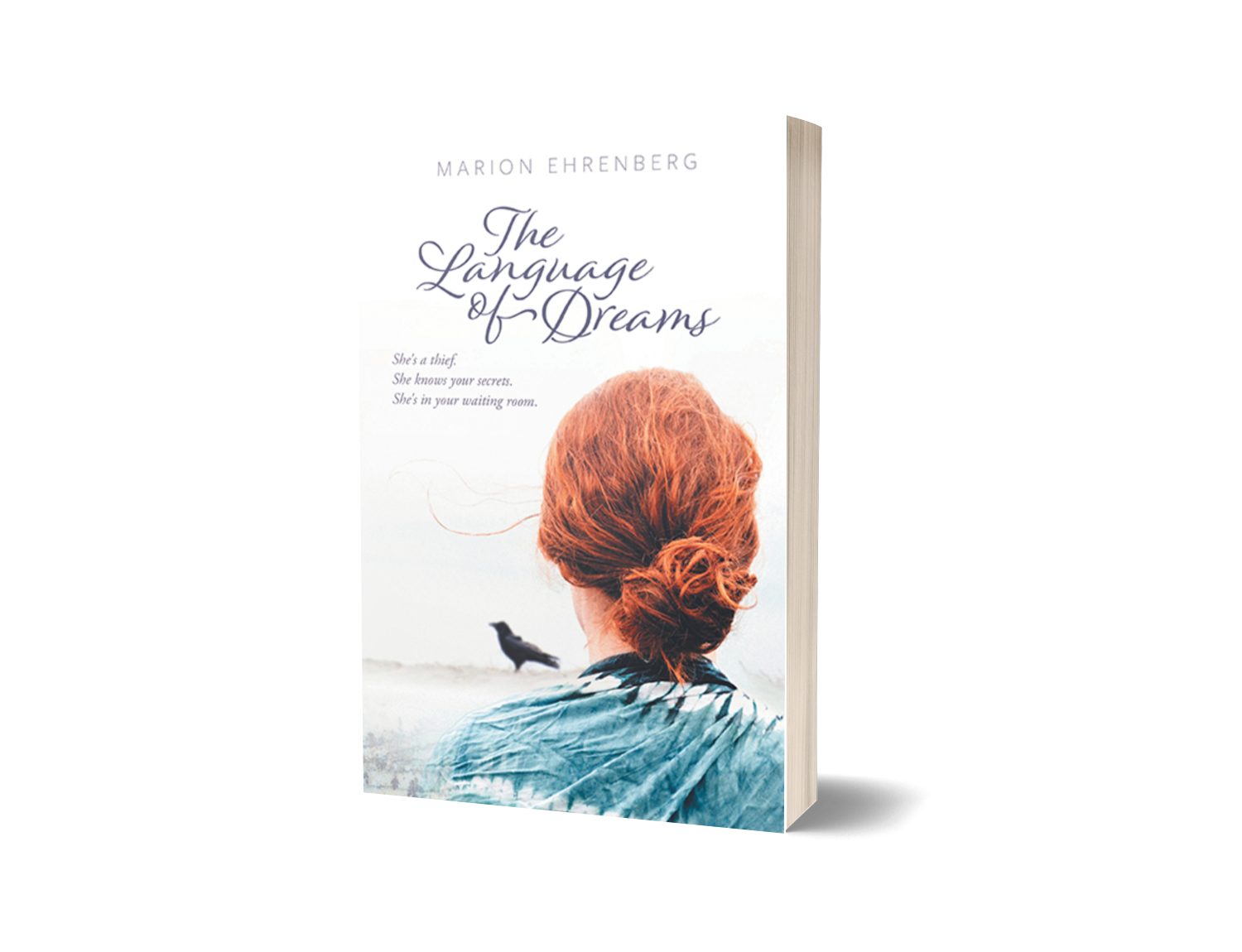 The Language of Dreams By Marion Ehrenberg