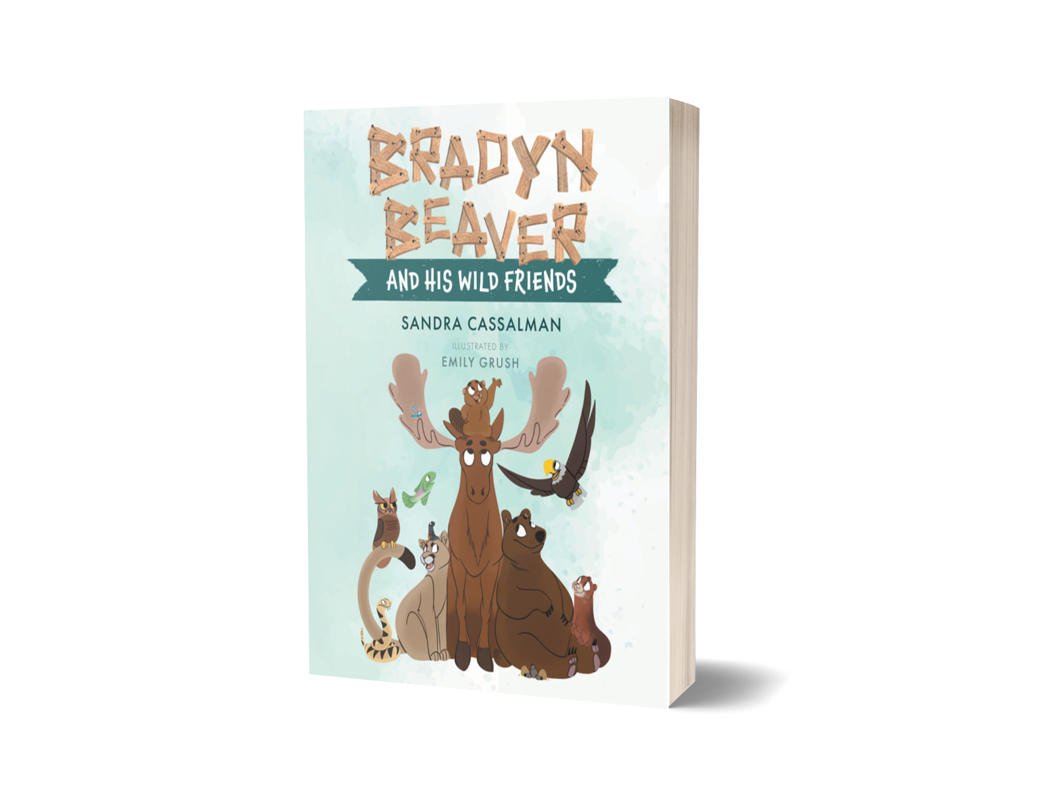 Bradyn Beaver and His Wild Friends By Sandra Cassalman 
