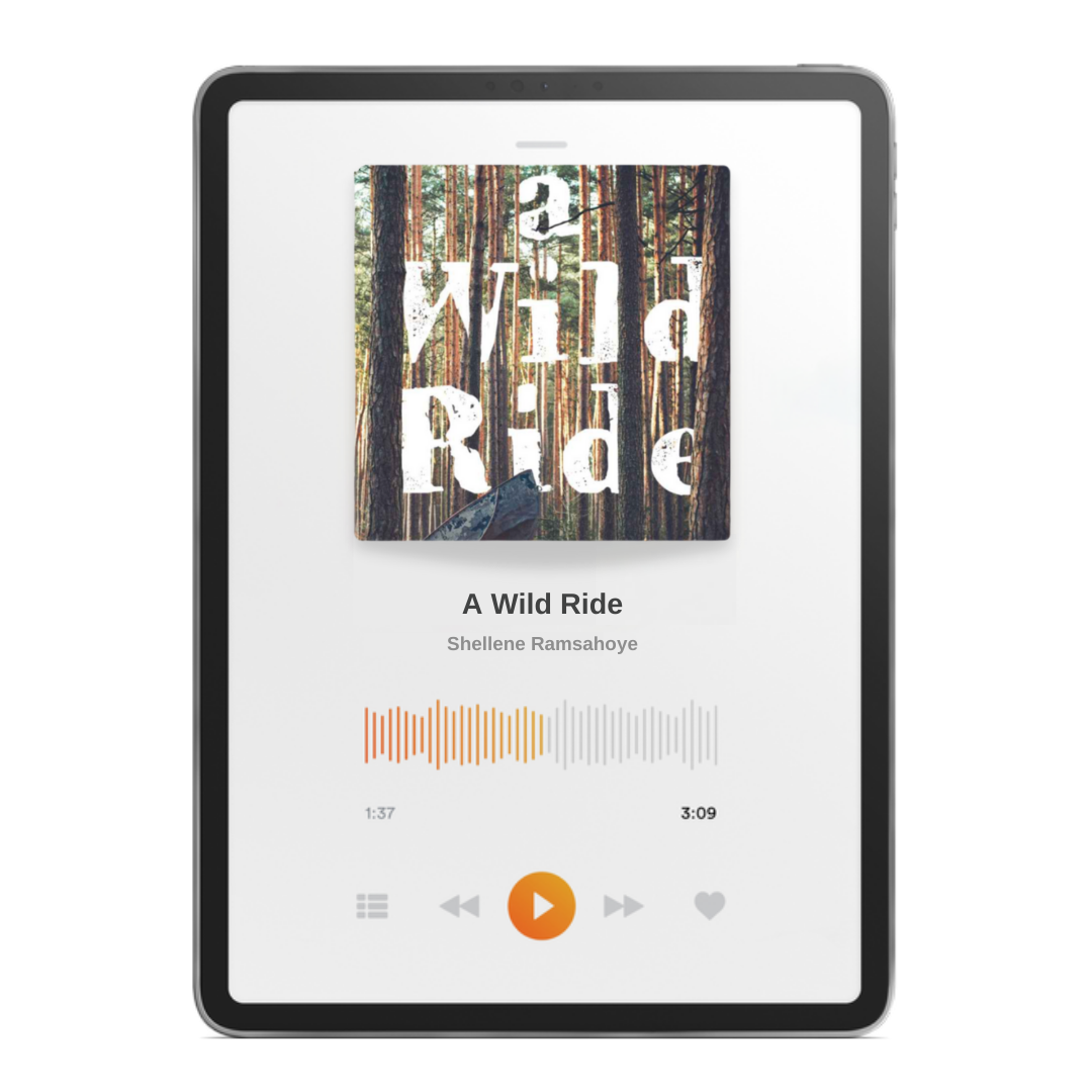 A Wild Ride_Audiobook.png