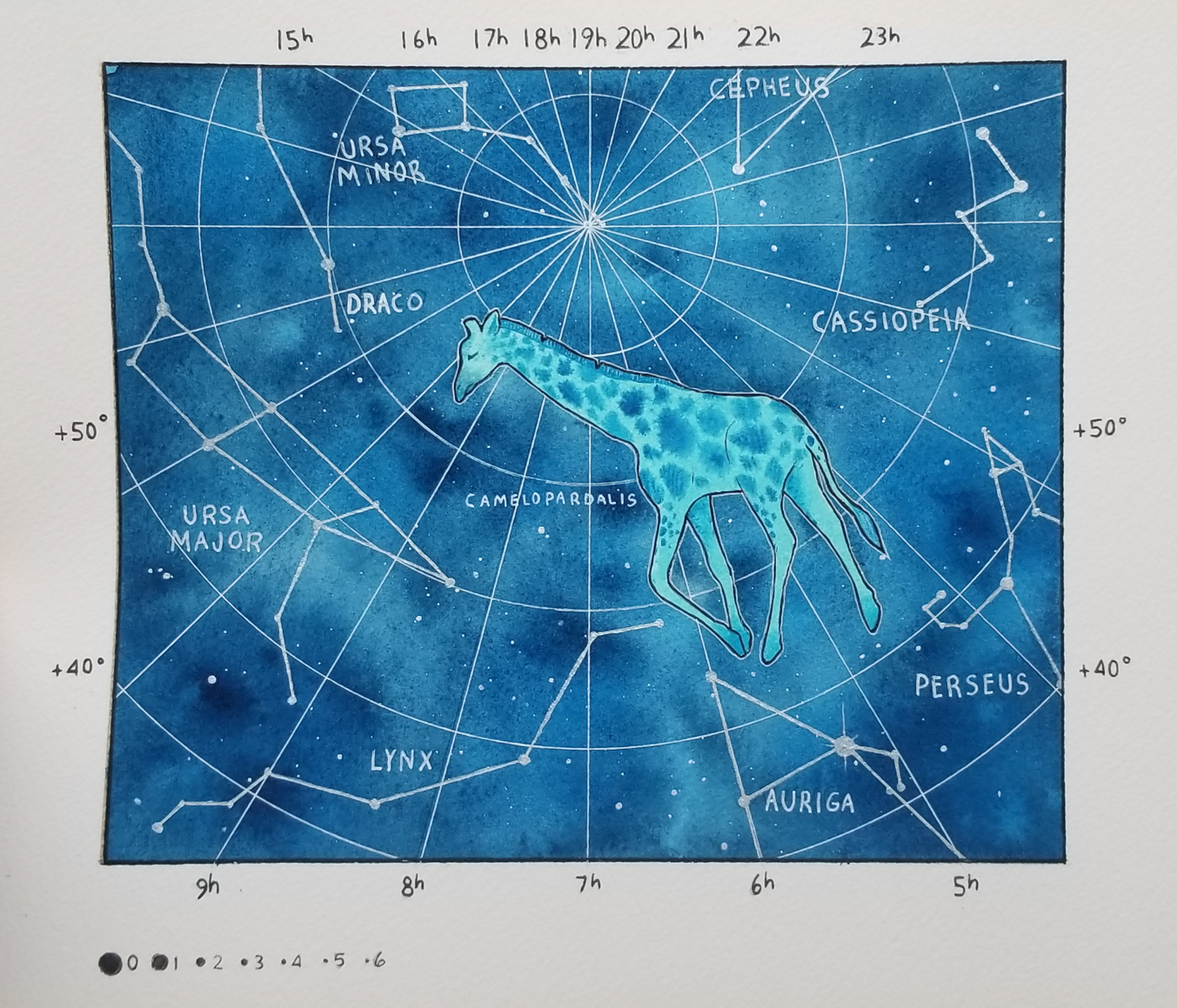 camelopardalis.png