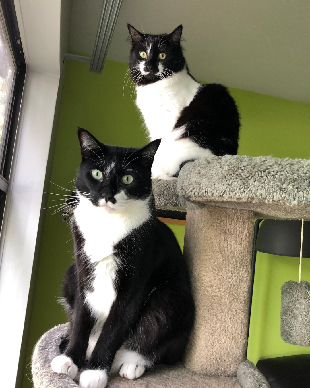 45 IG Posts (96).png