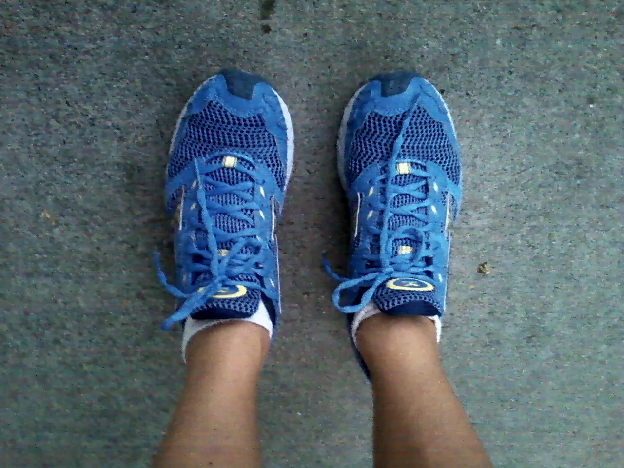 (I kind of love them.)