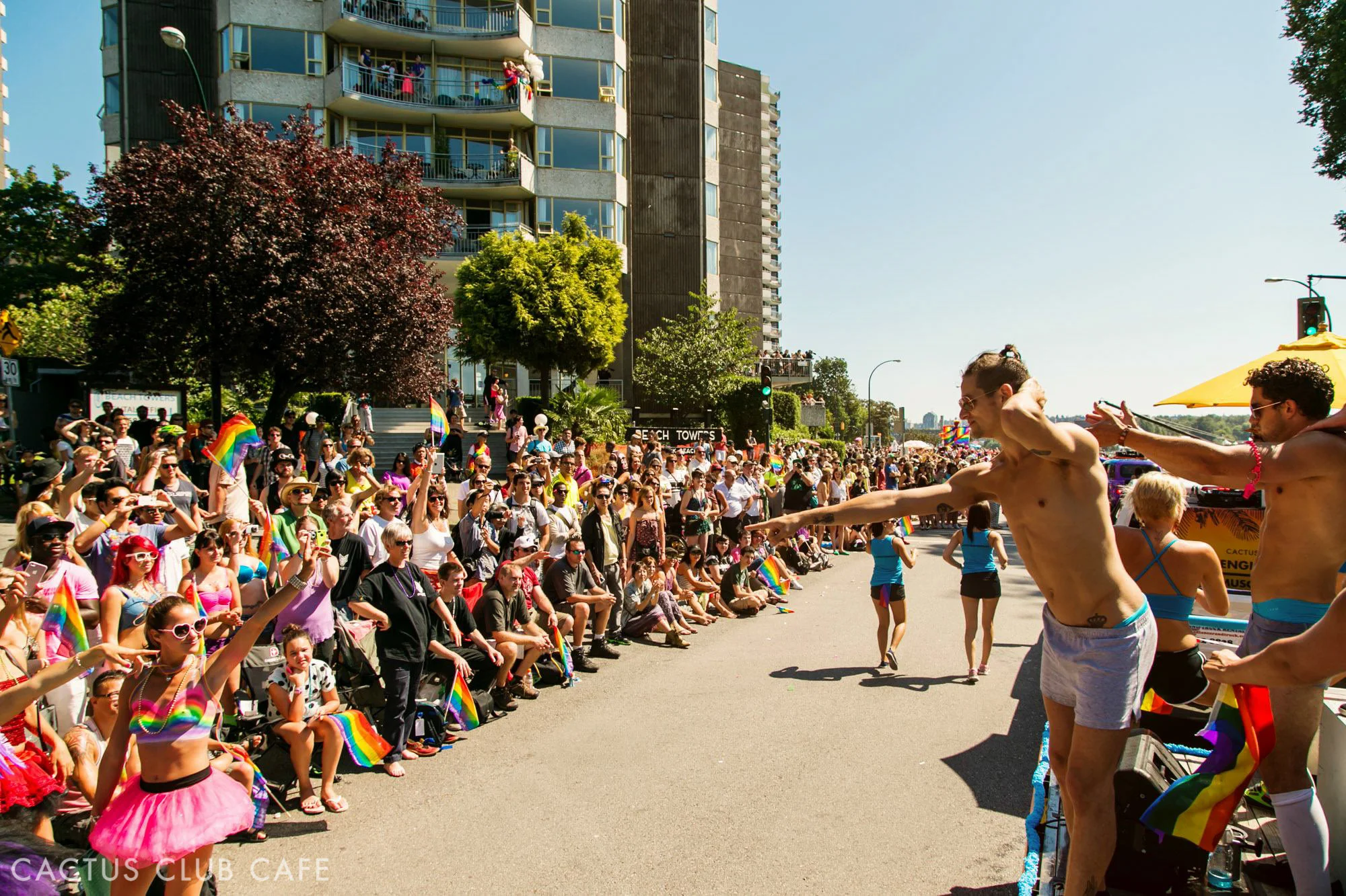 cactuspride-50.jpg