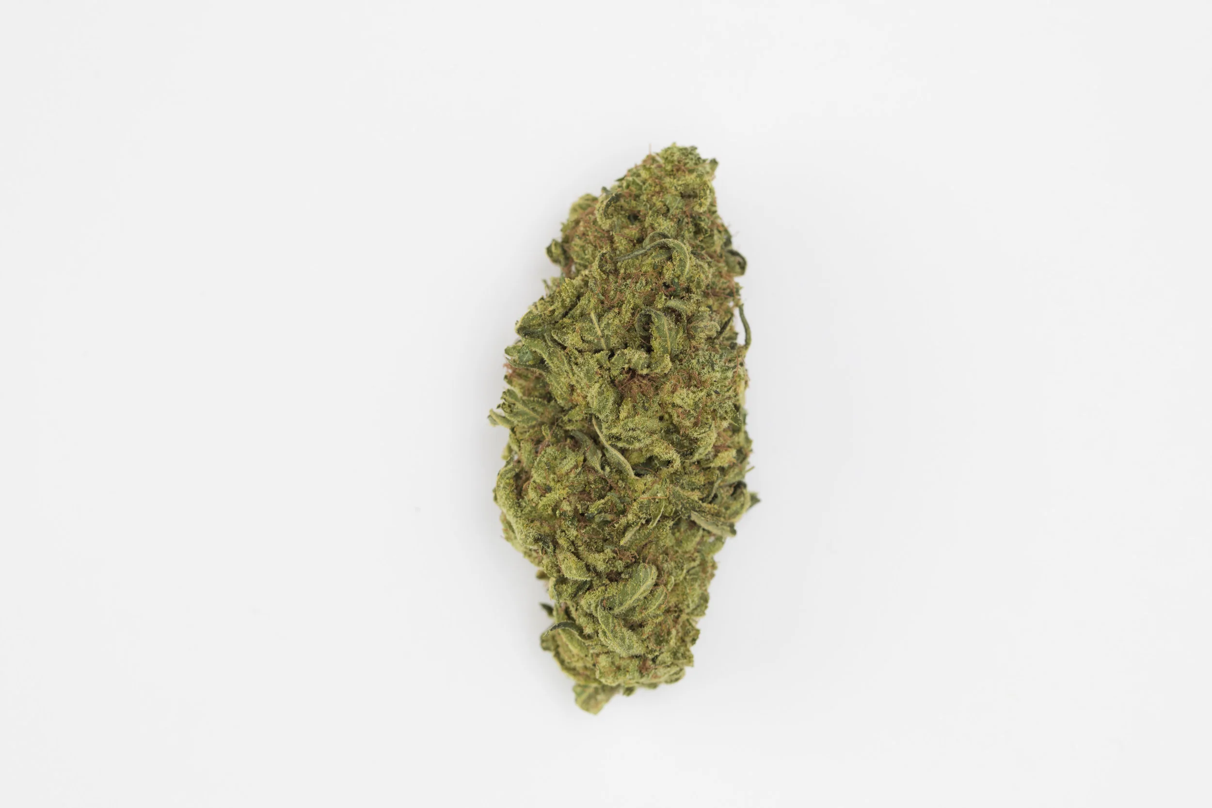 cannabis-02-101A1986.jpg