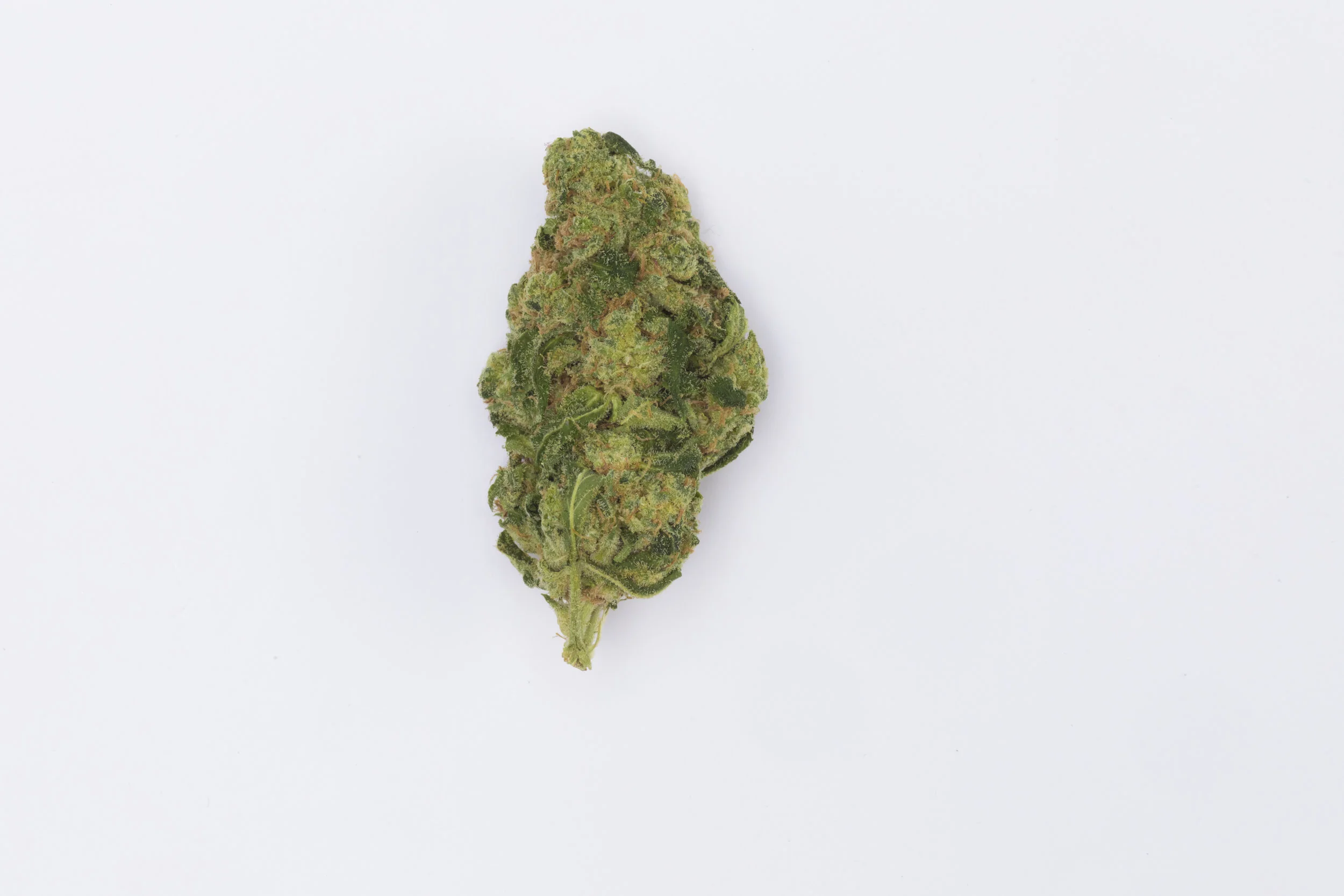 Cannabis002101A2064.jpg