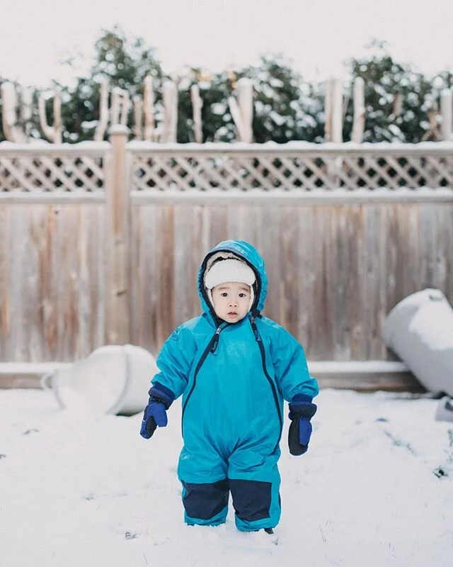 My little blue marshmallow ❄️ ⛄️ #muddybuddy #snow #backyard #snowmageddon #mylittleman #snowday