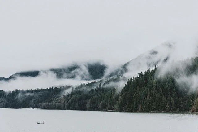 🏔 #clevelanddam #bc #northshore #northvancouver #westcoast #canoneosr #meday #hike #fog