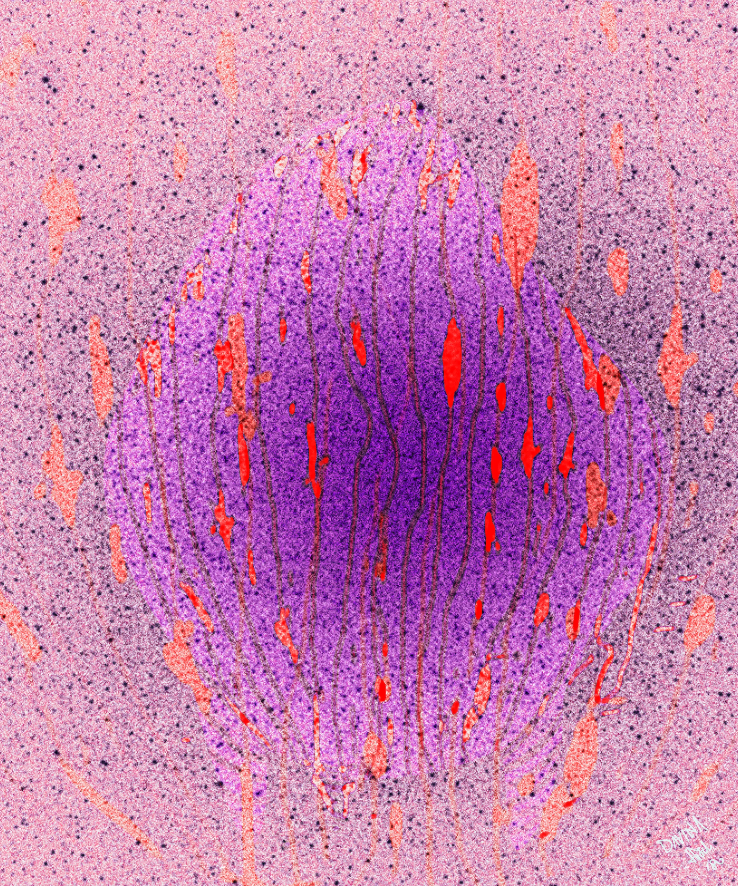 Hypersensitive_thought form2_1.jpg