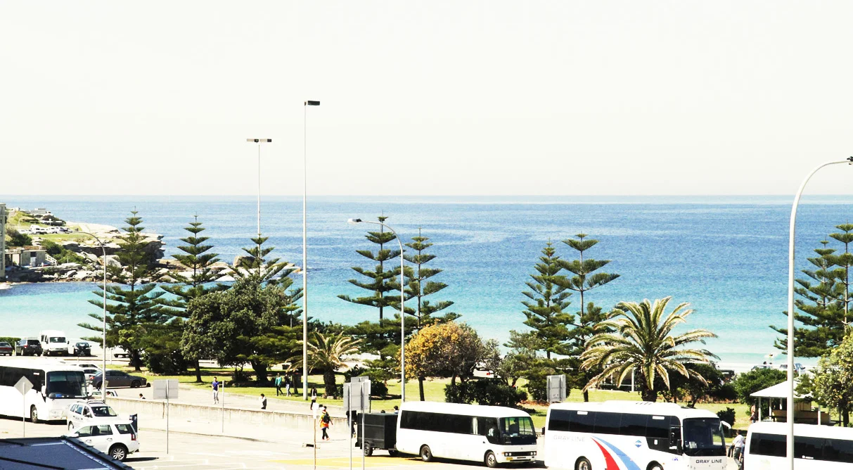 about_beach_notype-crop.jpg