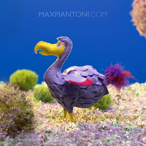 max-piantoni-dotd-sneak-beak.jpg