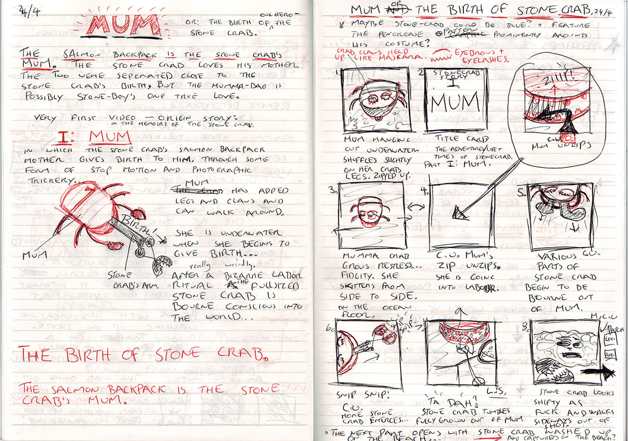 Here's a hastily sketched storyboard for the first chapter of the project. In this scene the protagonist crab is hilariously born into a world that doesn't quite suit him… Click to enlarge.