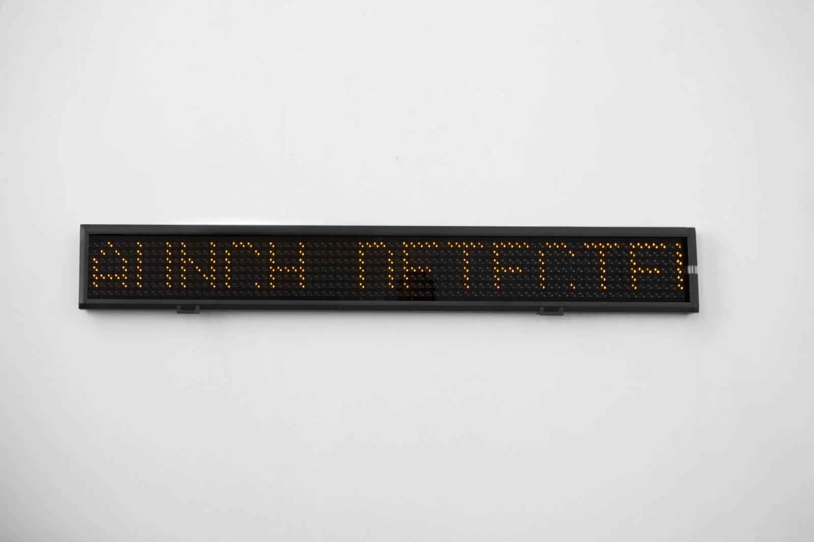 Coll.eo. YOU ARE DEAD, 2013