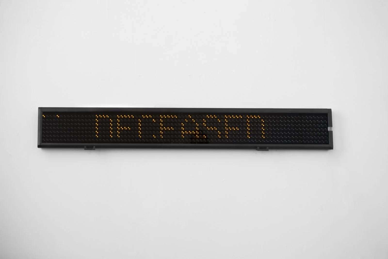 Coll.eo. YOU ARE DEAD, 2013