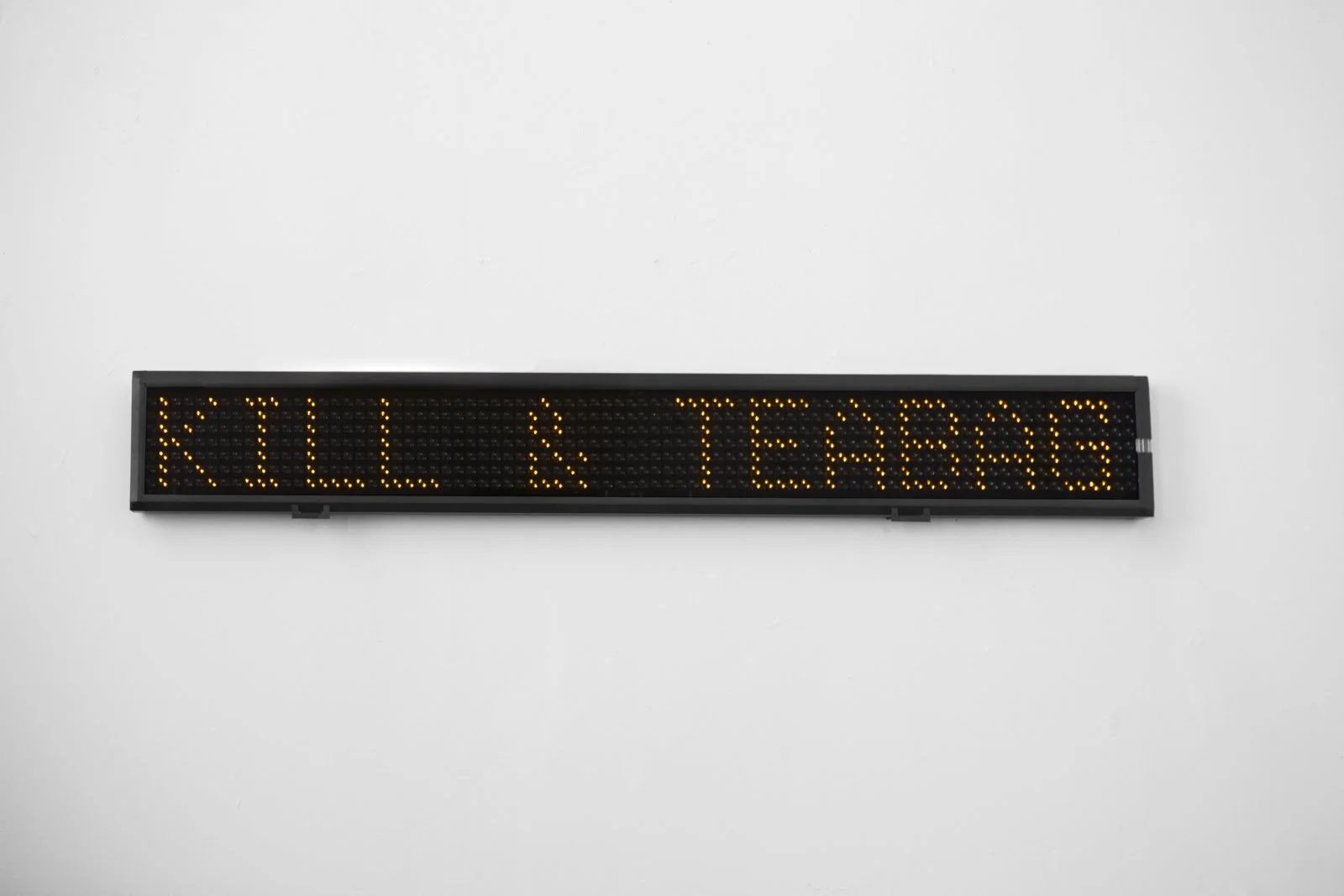 Coll.eo. YOU ARE DEAD, 2013
