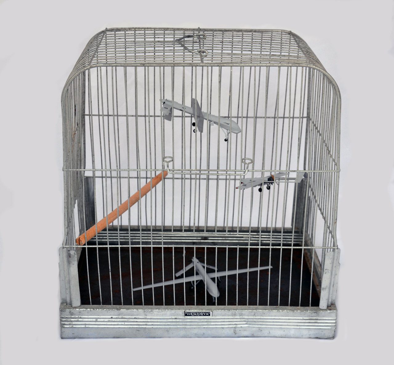 Domesticated (cage view, frontal)
