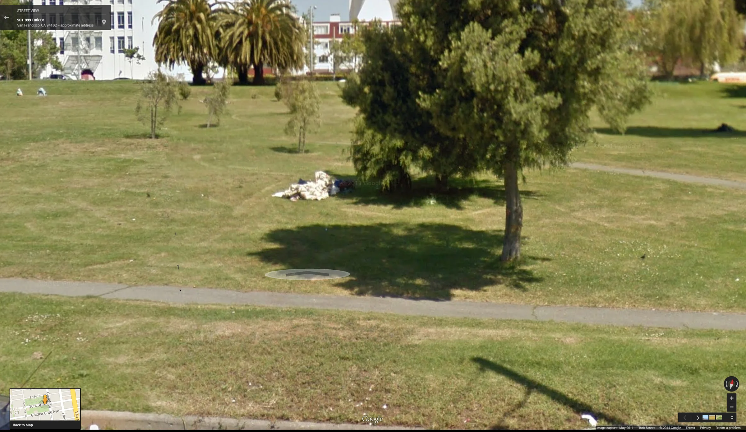 American Dream Colleo (82b).jpg