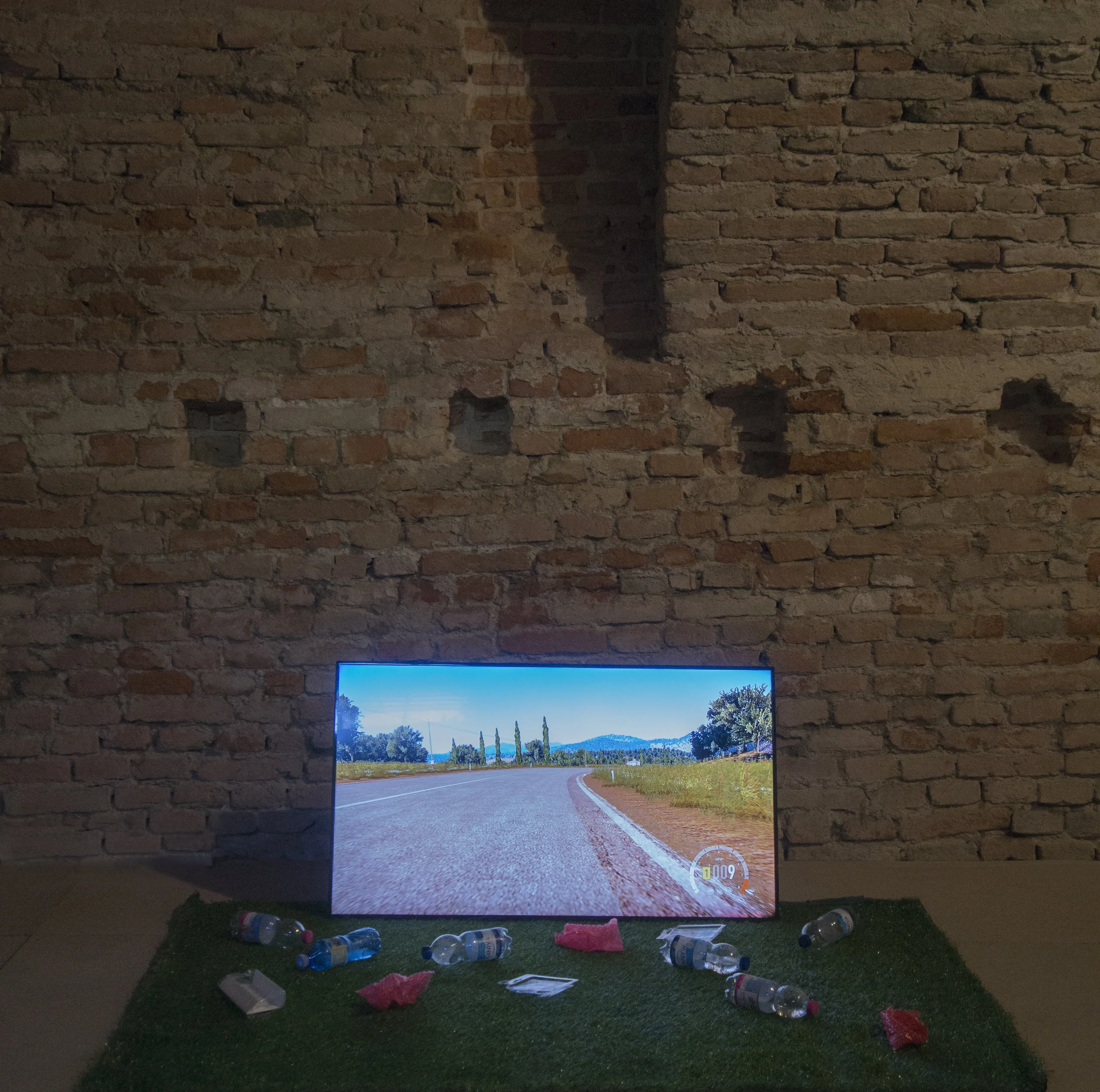 COLL.EO, YOU'RE IN A WONDERFUL COUNTRY, 2016 Installation shot.