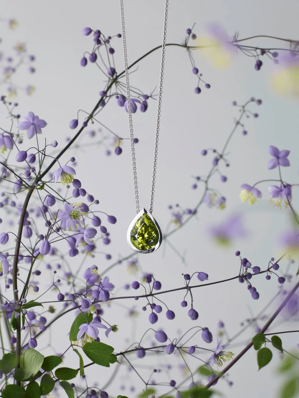 Jasper_Peridot_Thalictrum lila_01.jpeg