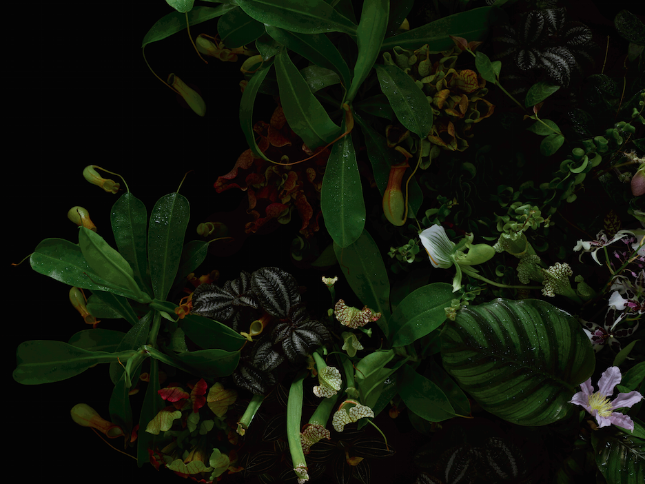 Screen Shot 2017-02-01 at 00.32.14.png