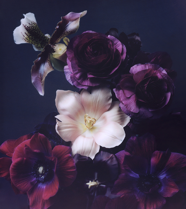 Flowers1_AmiraFritz.jpg