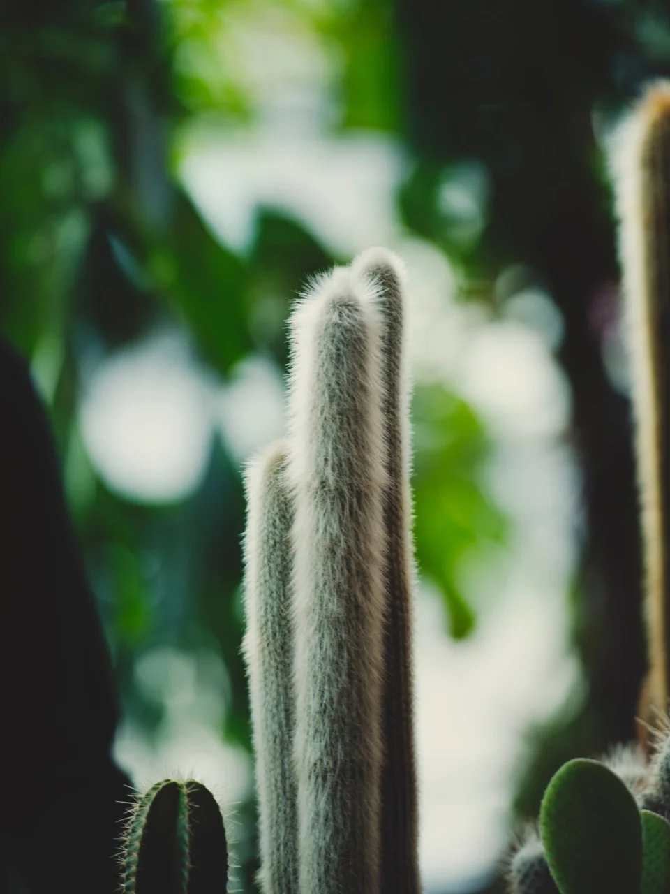 _DSC5617.jpeg