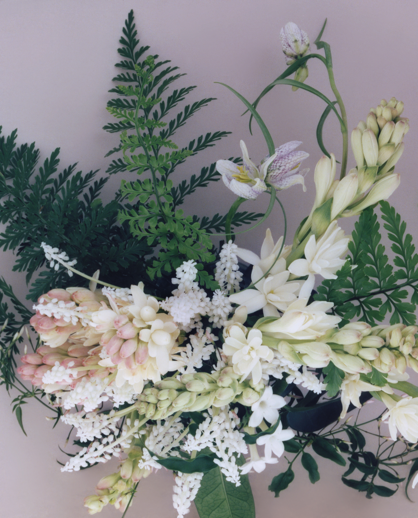 08Blume.jpg