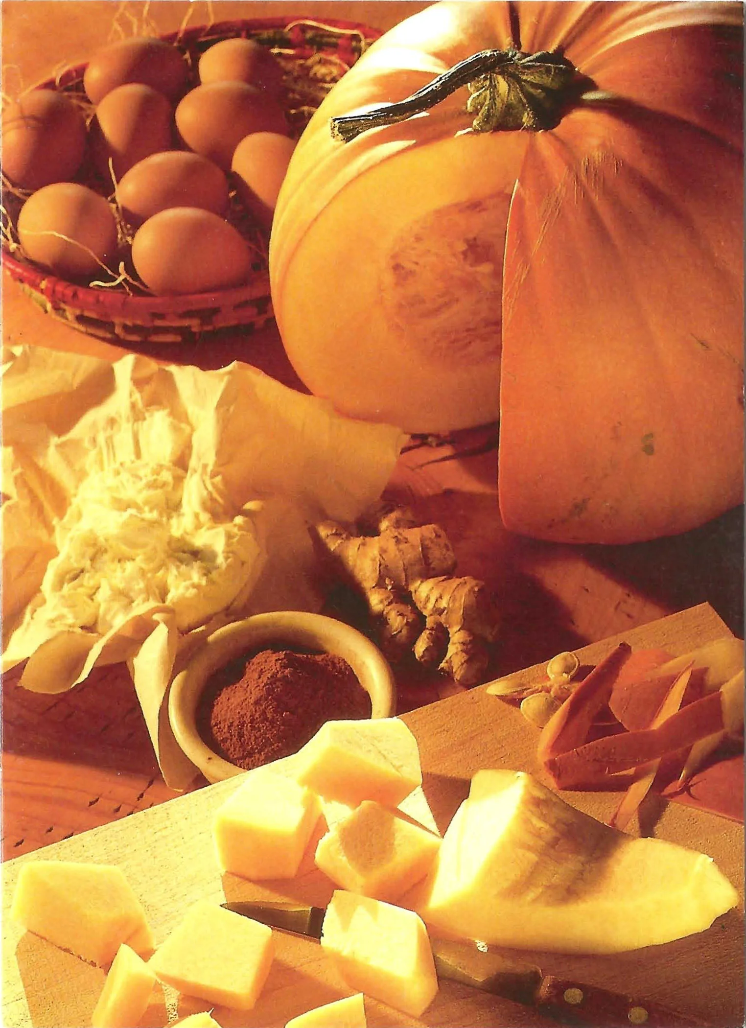 Pumpkin Photo.jpg