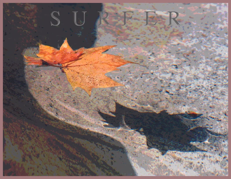Surfer