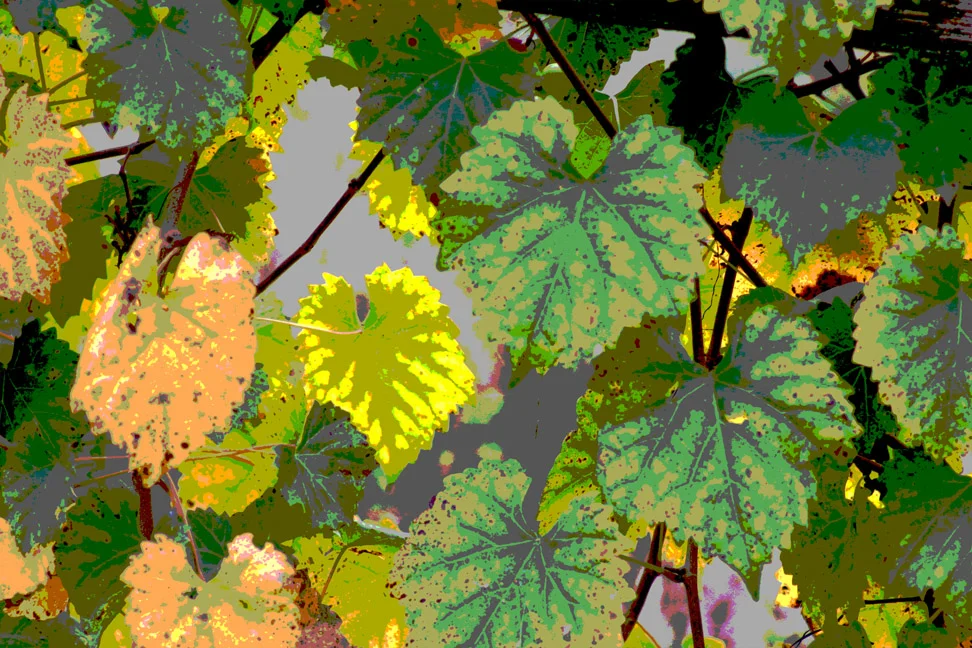 Leaf Light