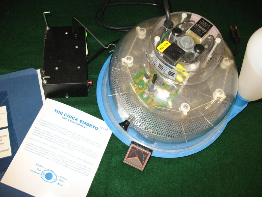 Incubator