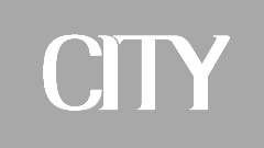 City_Logo_WHT-GRY.png
