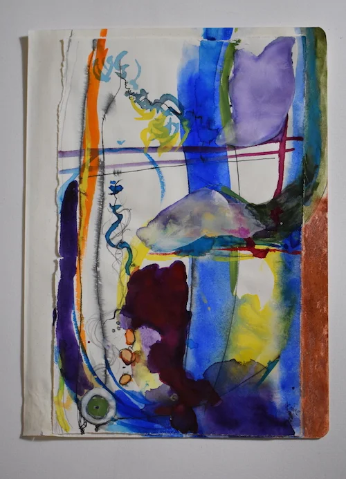 #18 Columbia Fiero schlangenbissen watercolor, chalk, ink, rives paper, writersblok paper 9 3/4 x 7 in plus frame, 2017