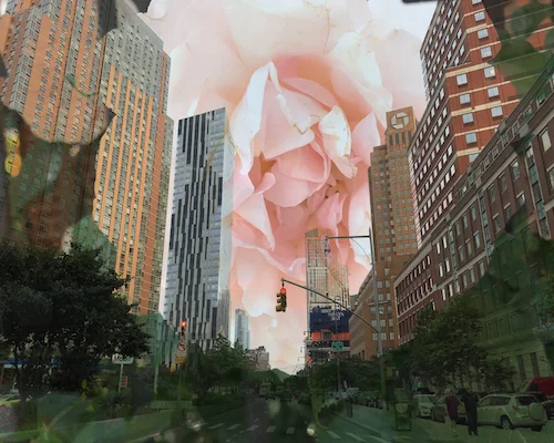 #67 Jeanne Wilkinson Cityscape with Rose Digital Collage mounted on substrate w/ bamboo edge, 16 x 20 in, 2018