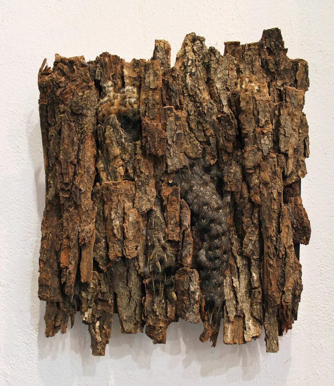 Hugh Hayden - Untitled (Ruffed grouse on firewood).jpg