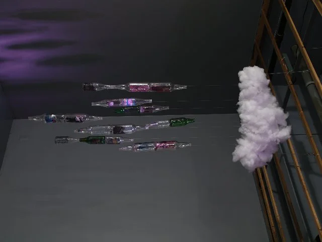 6. Jasmine Murrel.jpg