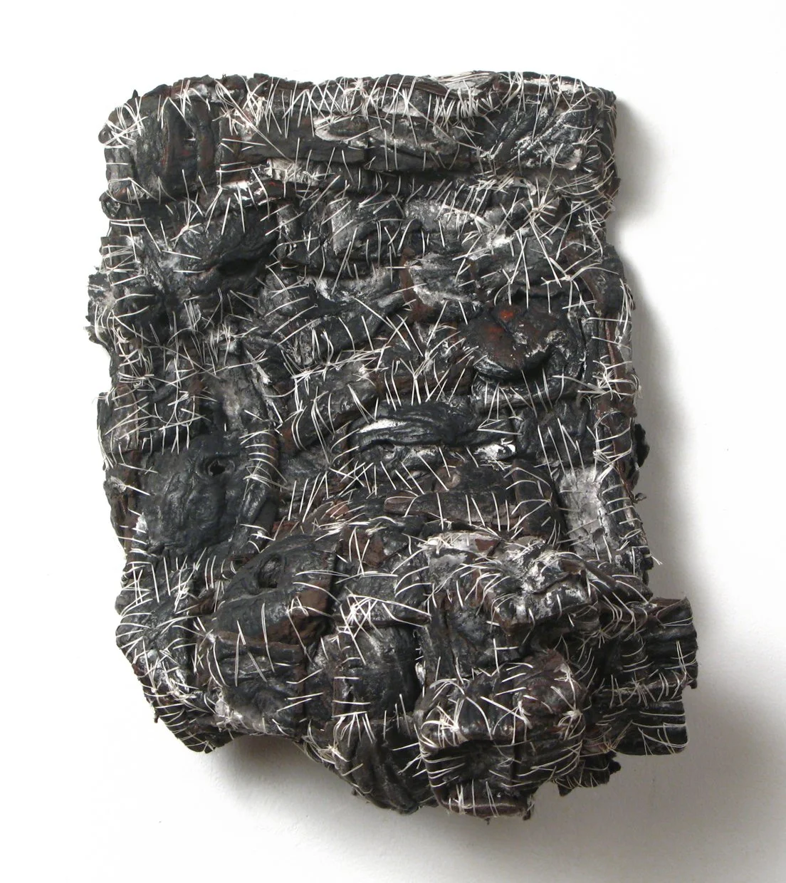 Elisa D'Arrigo Reconstructed  (1) 2008_2.JPG