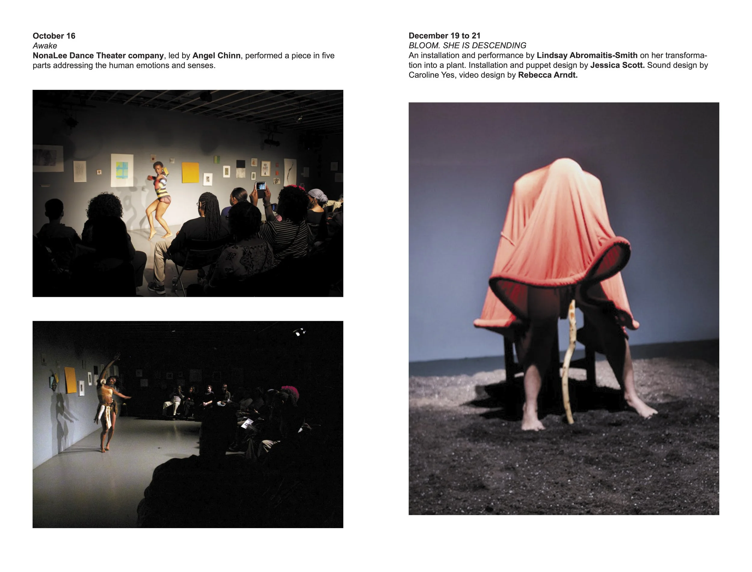 2014 Fall Winter SpaceProgram Brochure4.jpg