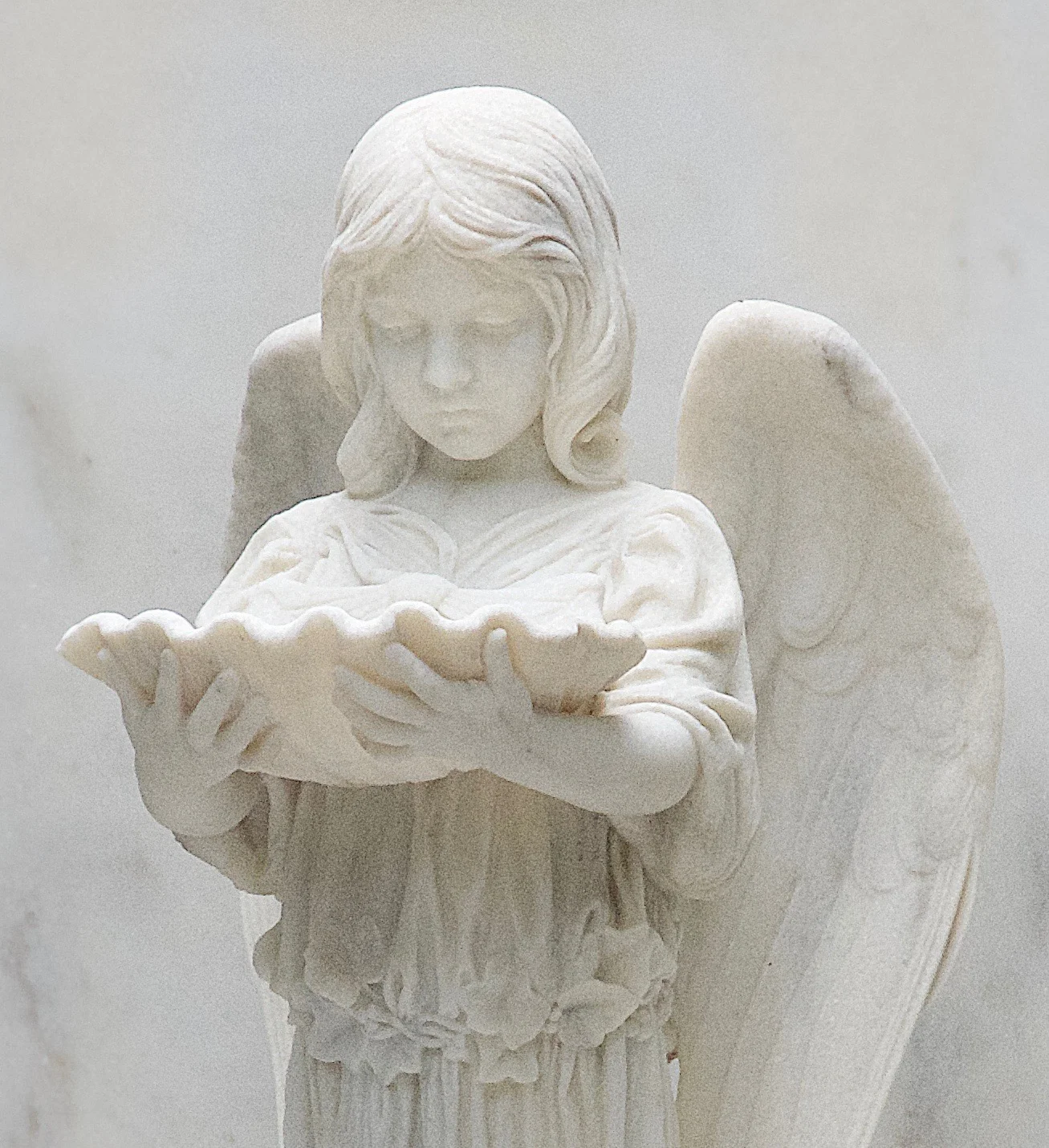 Angel looking into shell.jpg