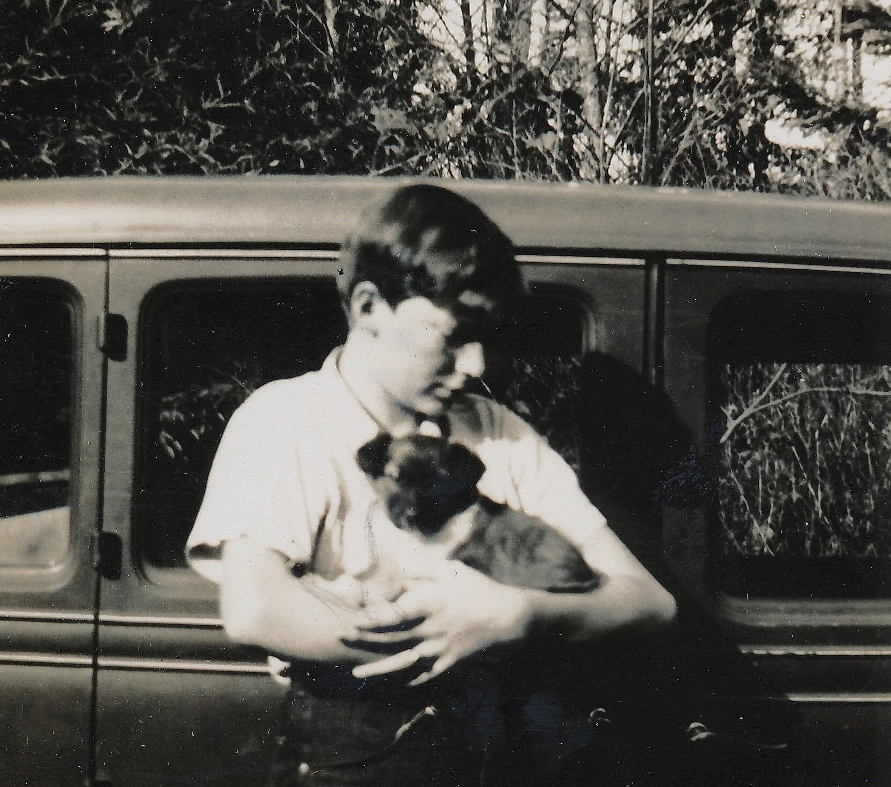 <untitled> 3407 (3).jpeg