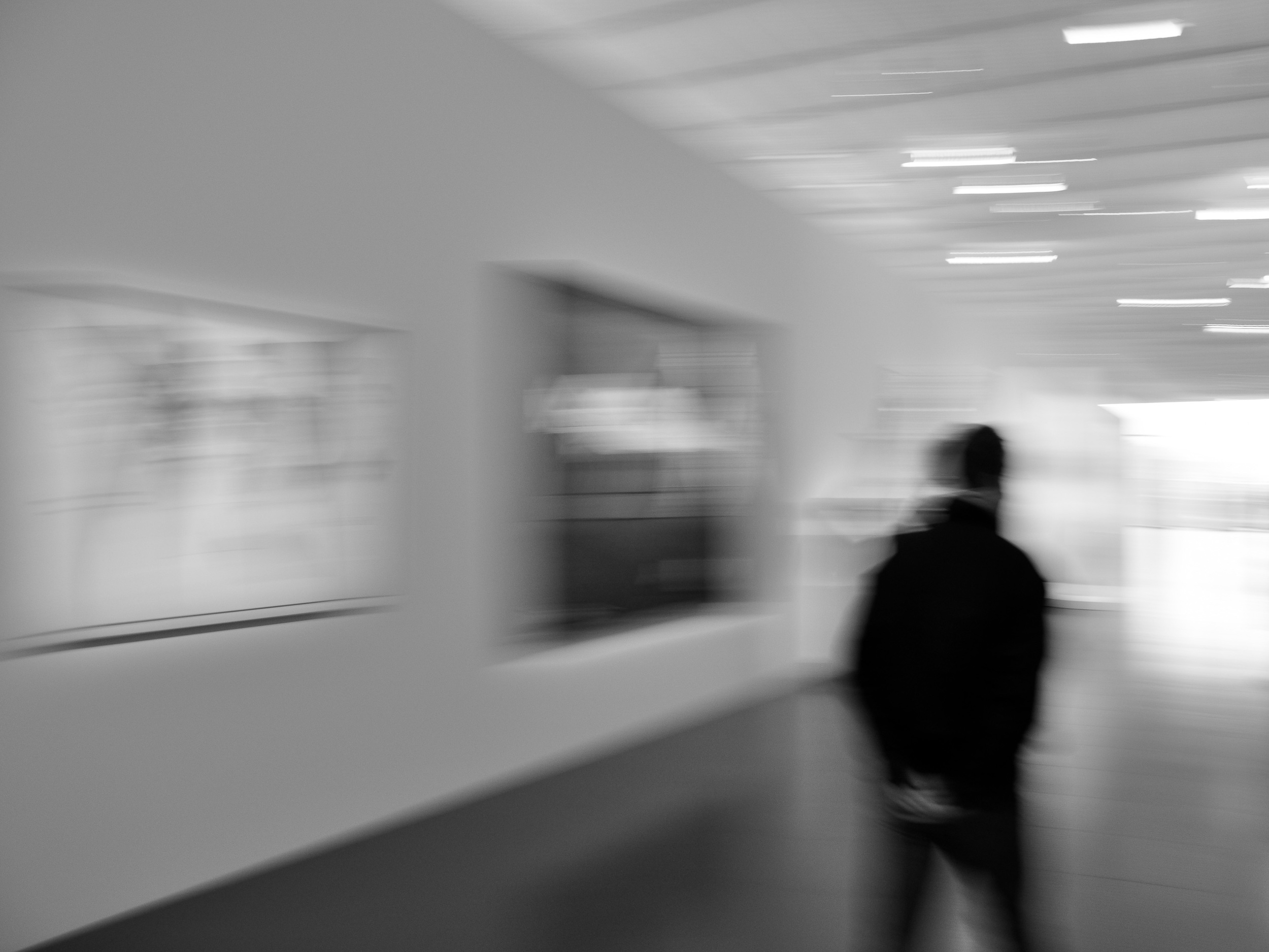 DSC_0313-Modifier.jpg
