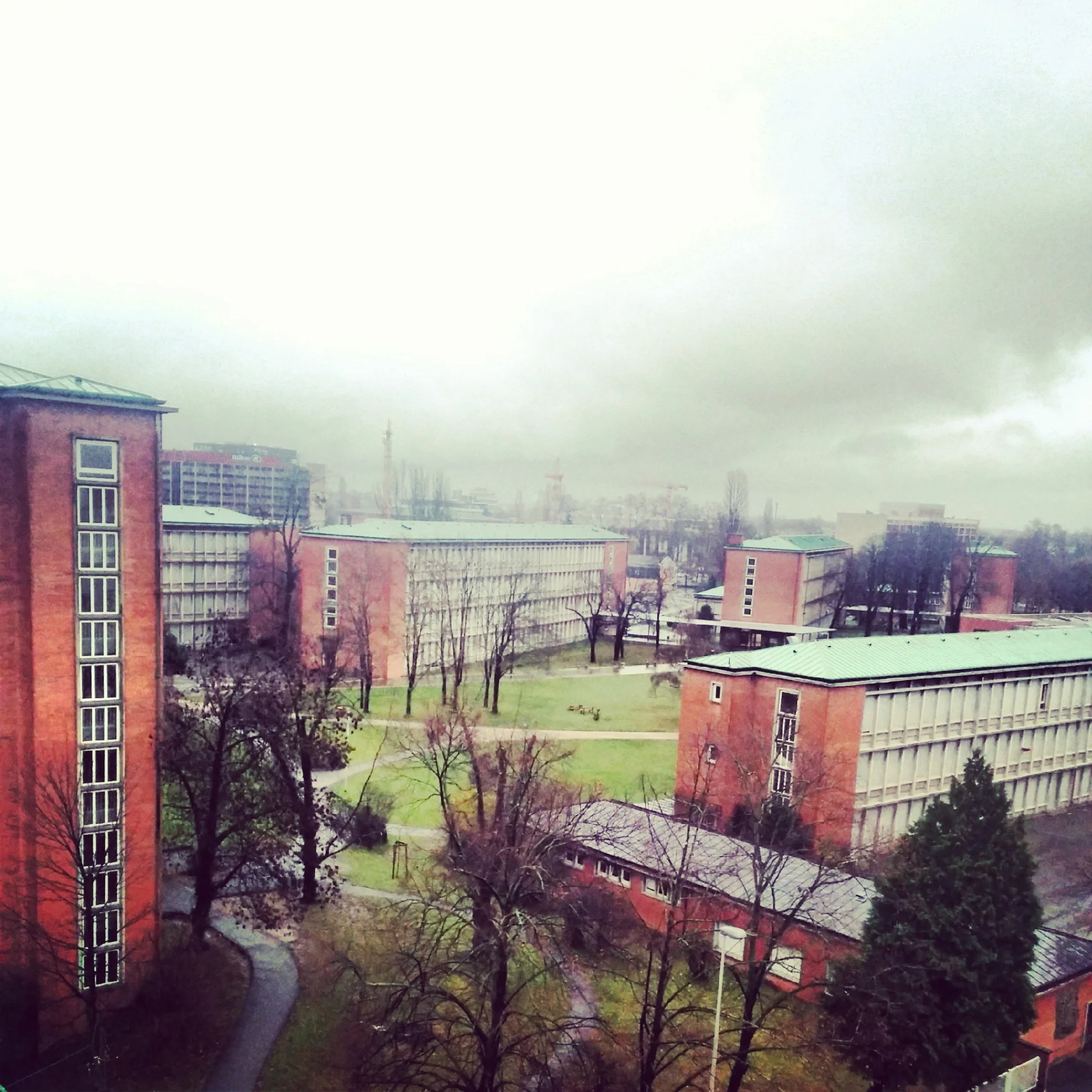 IMG_20131225_151525.jpg