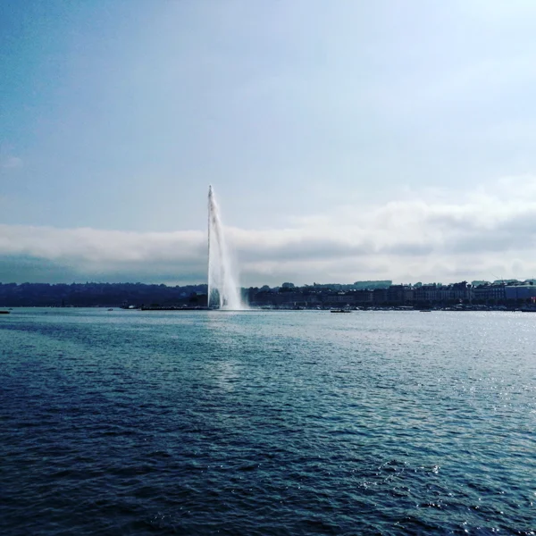 IMG_20170825_102716_639.jpg