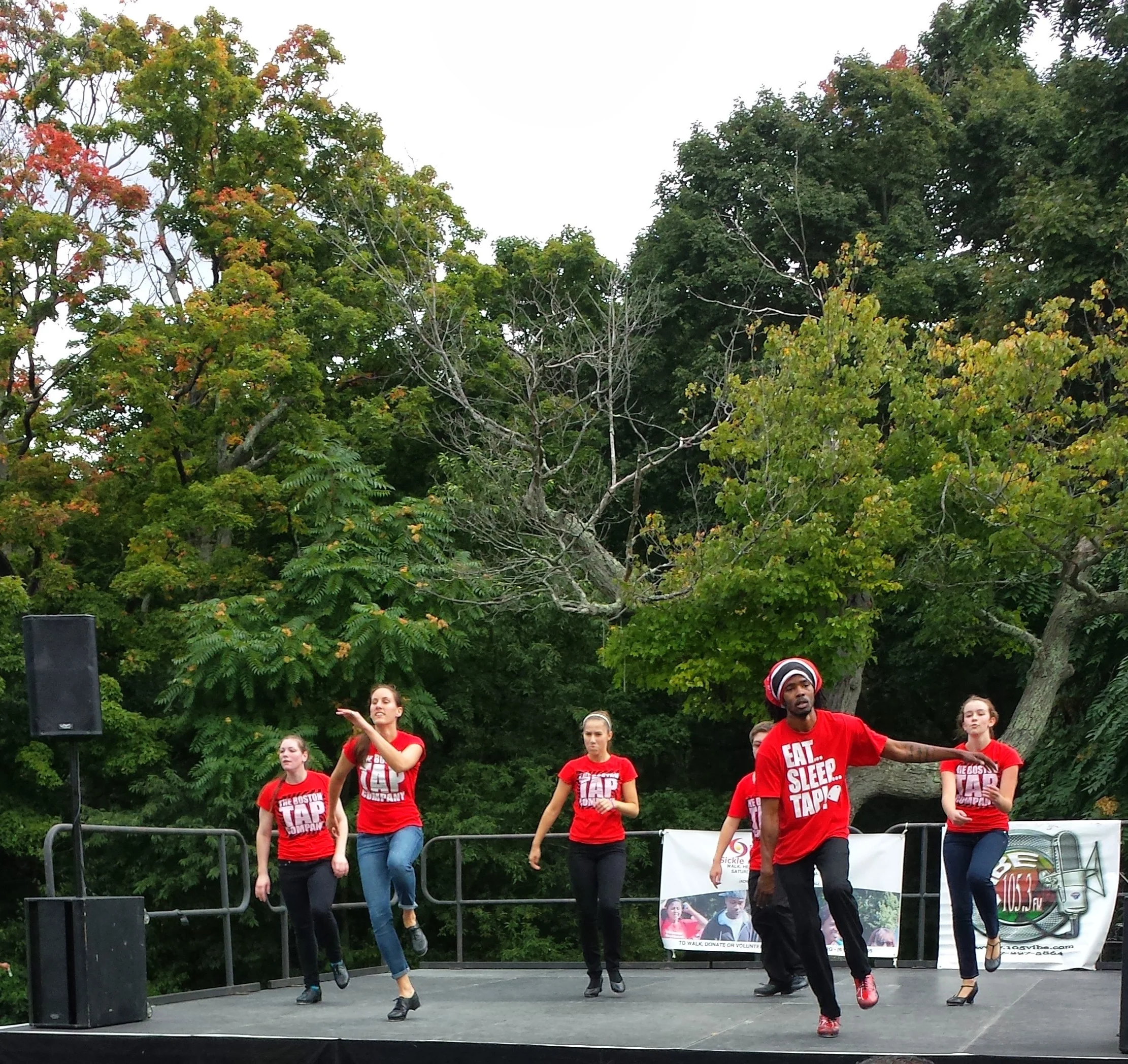 Sickle Cellebration at Franklin Park with the Greater Boston Sickle Cell Association