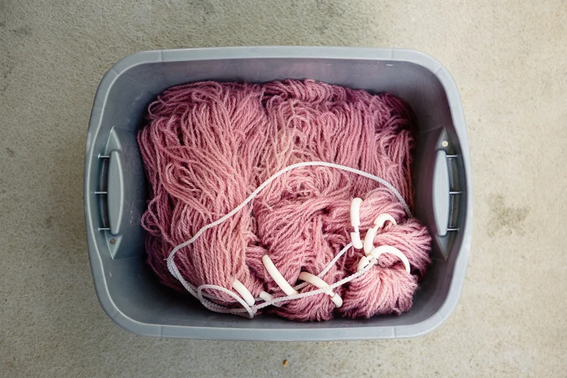 Drained and ready to dry.