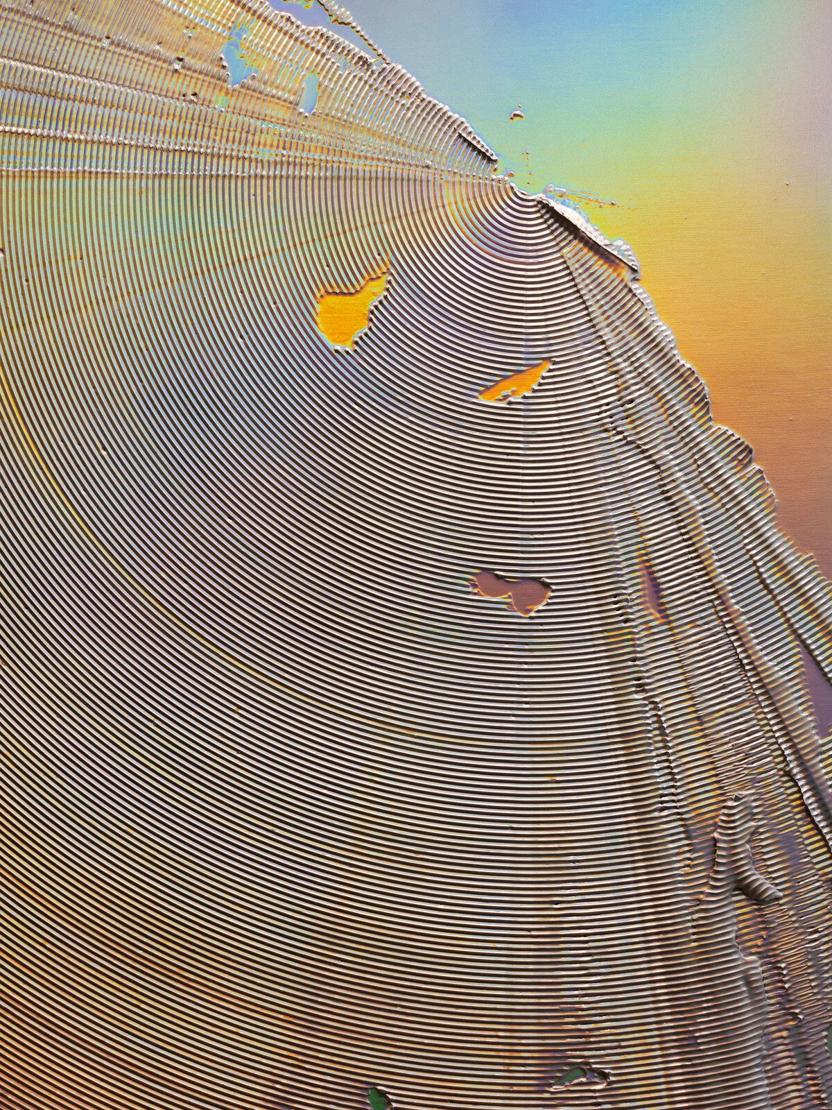 Samuel Zeller FIAC 2019 Paris 2603.jpeg