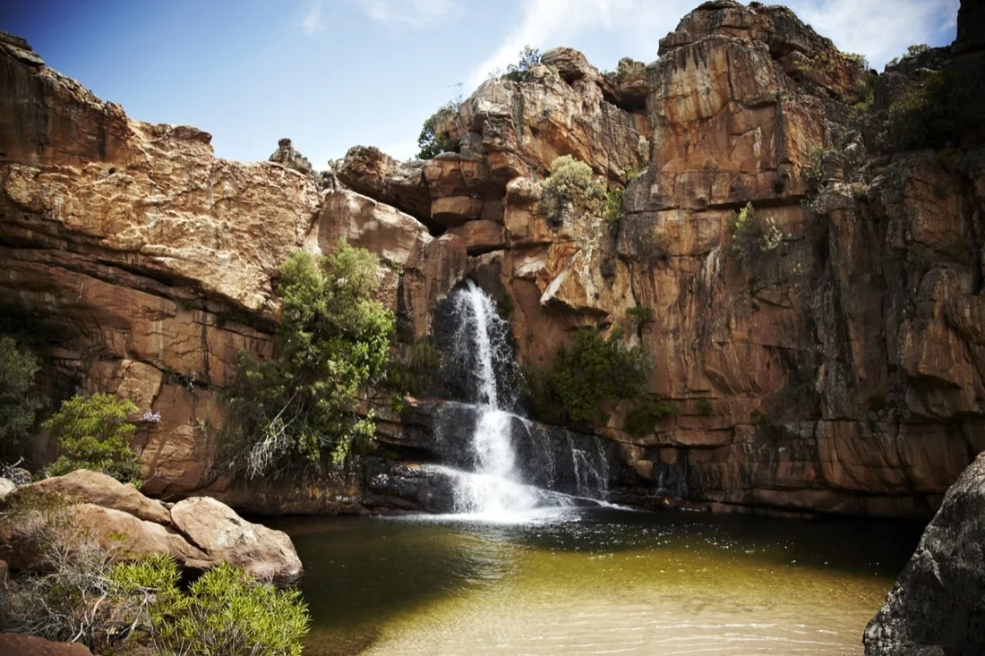 Safari Stills-039.jpg
