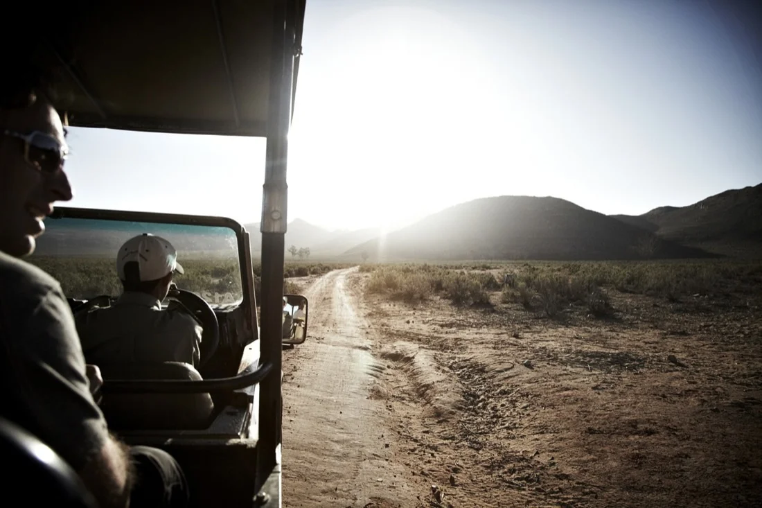 Safari Stills-060.jpg